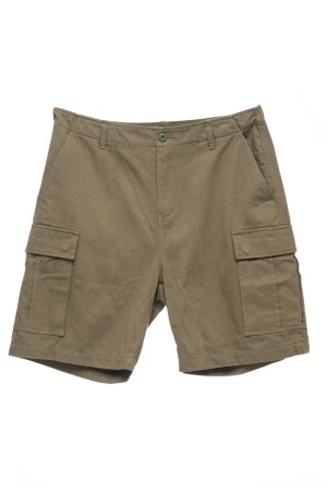 Stüssy Surplus Cargo Kort Korte Broek Heren Stone | LQ16-E1-LI