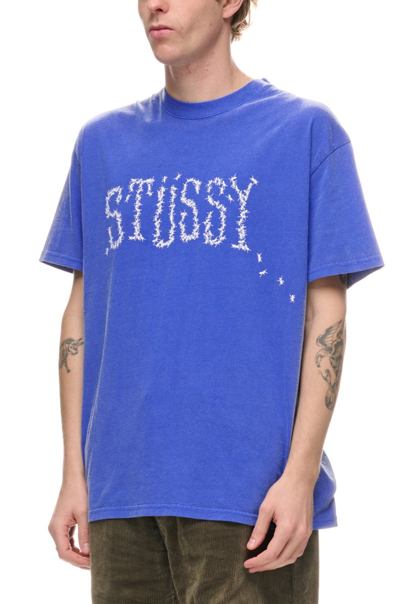 Stüssy Ants Ss Tee Tees Heren Pigment Ultramarine | JL41-E8-AN