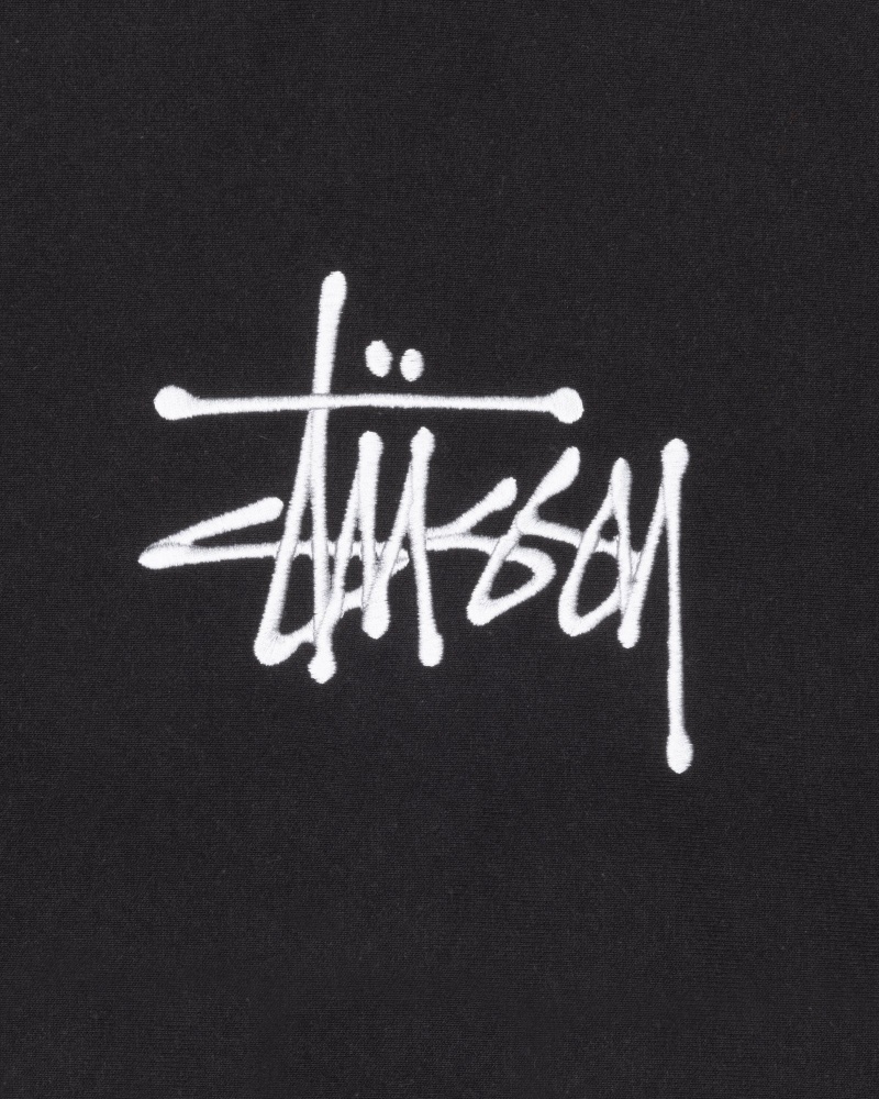 Stüssy Basic Applique Hoodie Long Sleeve Sweatshirt Unisex Zwart | DO79-J4-GM