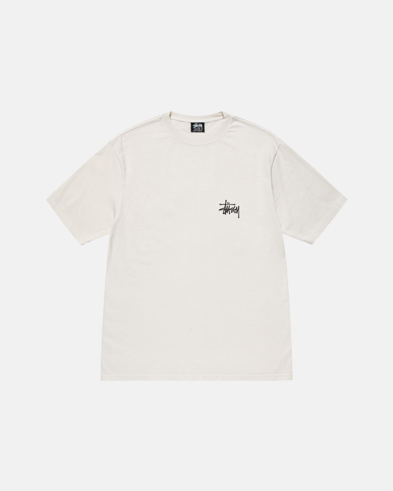 Stüssy Basic Stussy Tee Pigment Dyed Short Sleeve T-Shirt Unisex Natural | YT71-Y5-UC