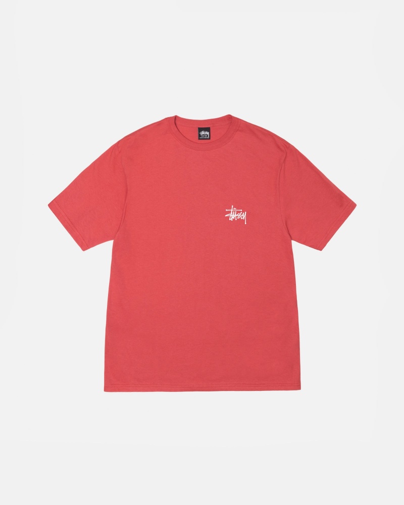 Stüssy Basic Stussy Tee Short Sleeve T-Shirt Heren Pepper | XG52-E9-XP