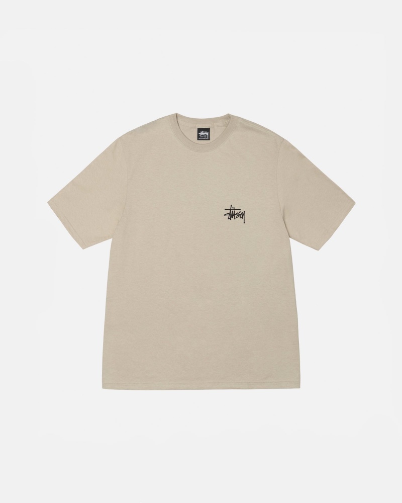 Stüssy Basic Stussy Tee Short Sleeve T-Shirt Unisex Khaki | RZ98-O1-OC