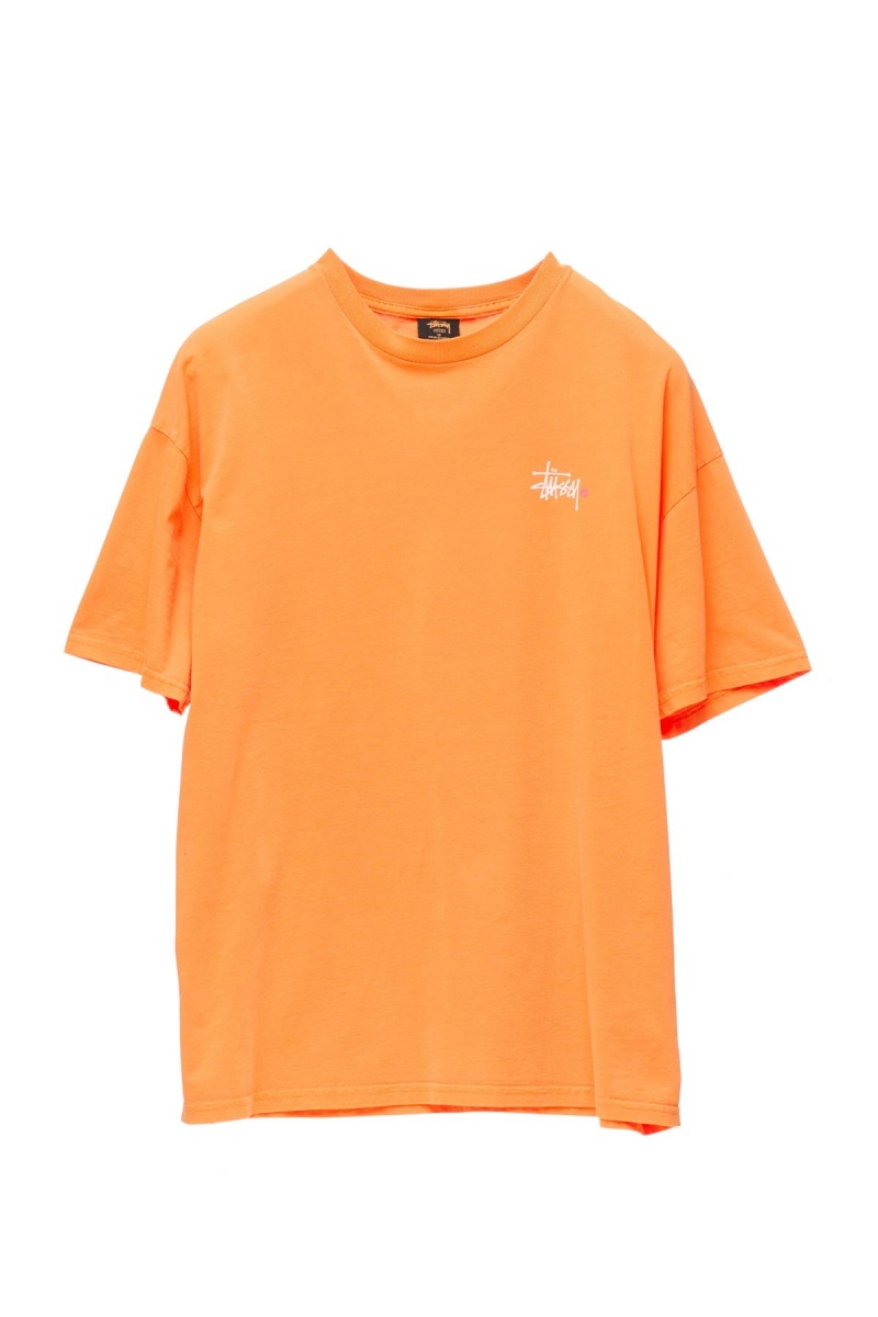 Stüssy Graffiti Pigment Relaxed Tee Tees Dames Oranje | NF69-F0-DI