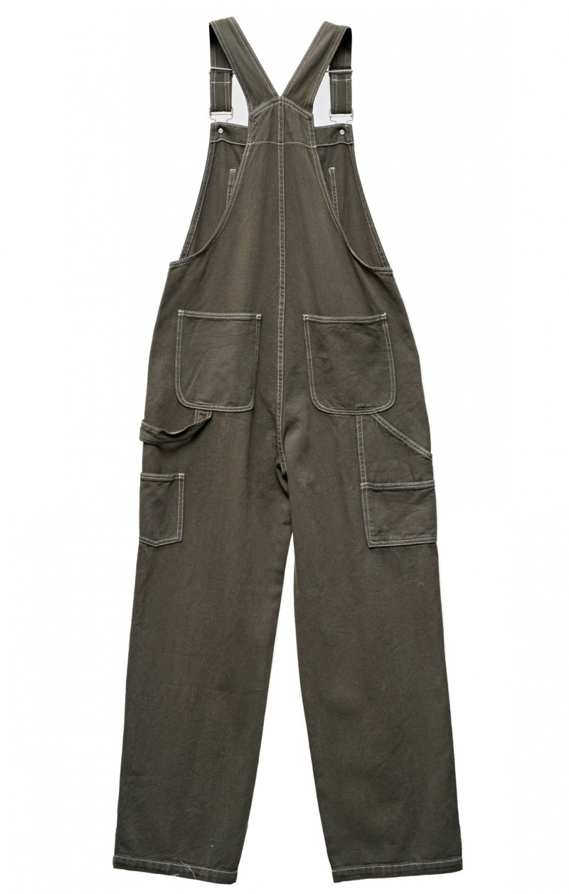 Stüssy Nevada Denim Overall Shorts & Pants Dames Fern | FR15-C5-FT