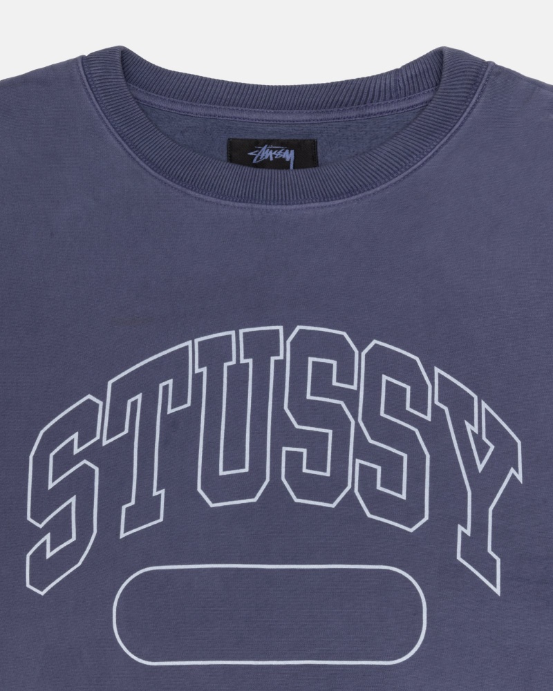 Stüssy Varsity Oversized Crew Long Sleeve Sweatshirt Unisex Blauw | QT41-Q4-TA