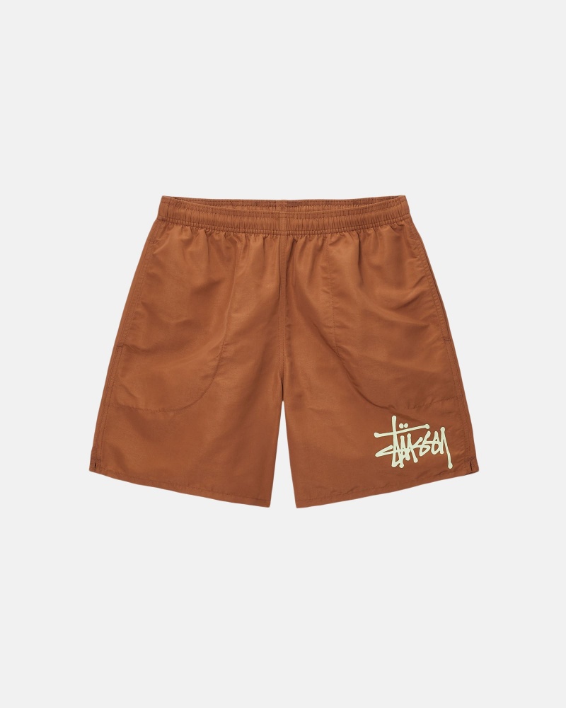 Stüssy Water Kort Big Basic Swim Bottom Unisex Coffee/Pistachio | DL01-O9-IZ